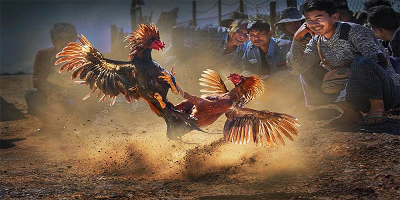 colatv xổ số bữa nay