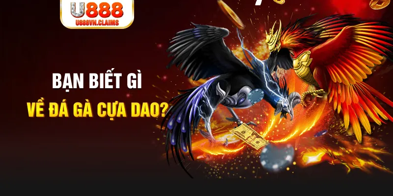 colatv SW Xổ Số