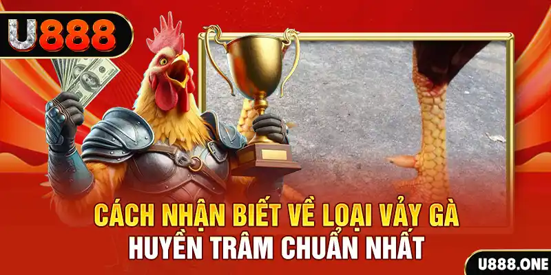 colatv đăng nhập nổ hũ số 1