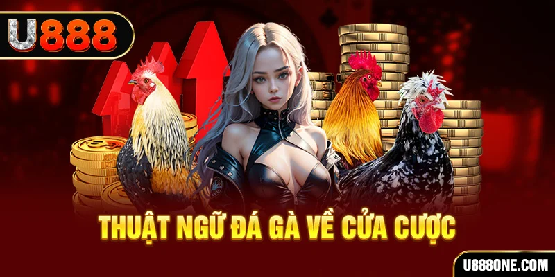 colatv hơn cả bạn bè