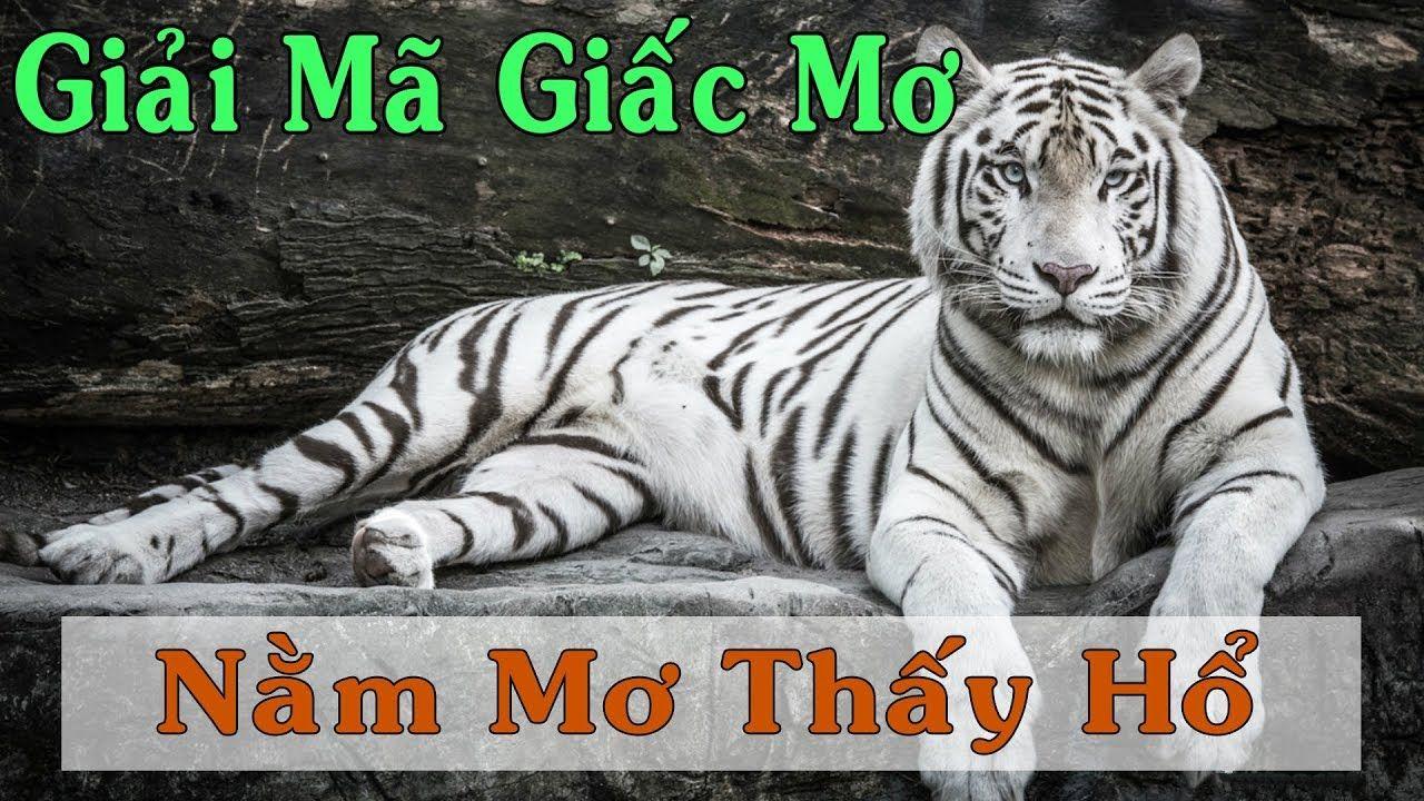 colatv nổ hũ là game gì
