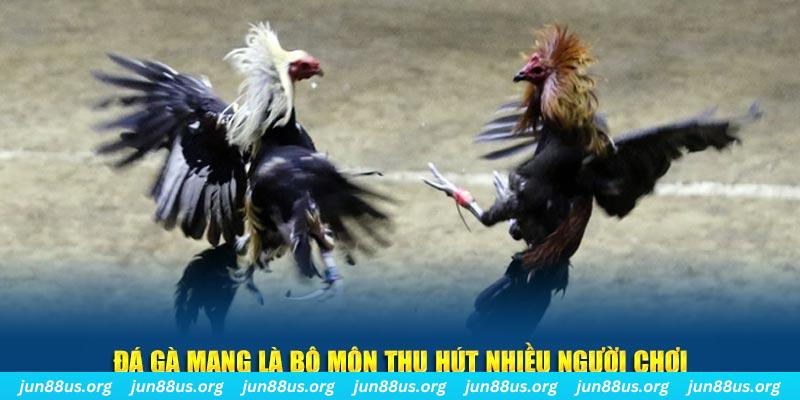 colatv nổ hủ nghĩa là gì