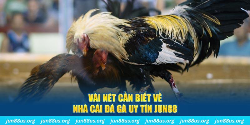 colatv đăng nhập phỏm khuyến mãi