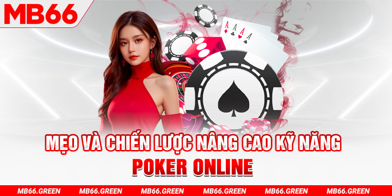 colatv chổi lông gà