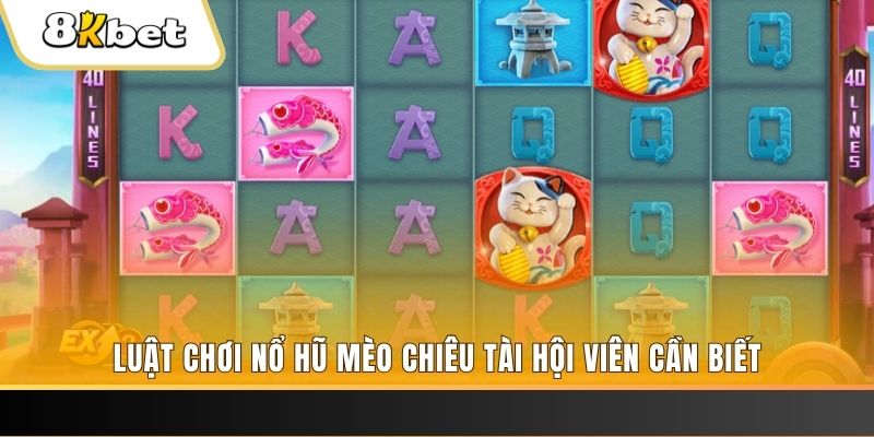 colatv máy bay nổ hủ