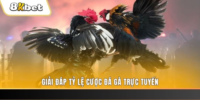 colatv ga choi cau thanh