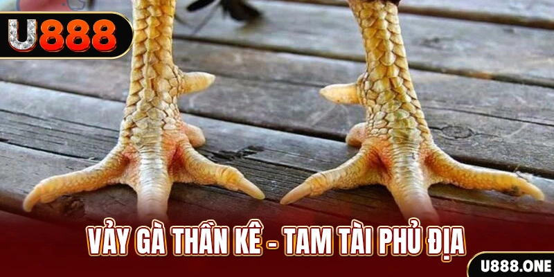 colatv xổ số miền trung thứ hai hàng tuần