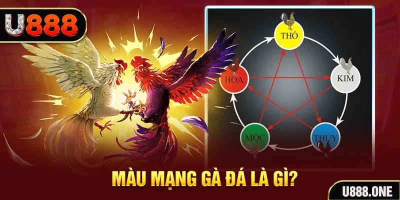 colatv xổ số miền trung thứ tư hàng tuần