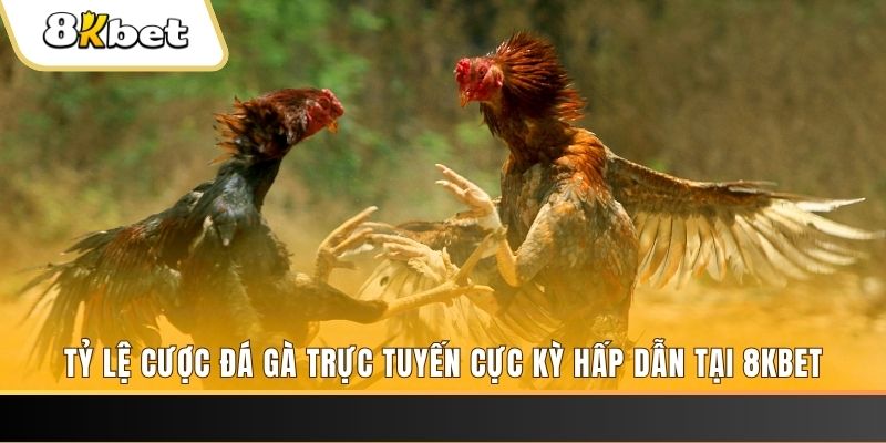 đăng nhập mậu binh online
