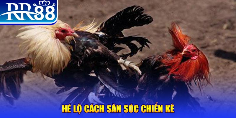 colatv xổ số miền trung thứ tư