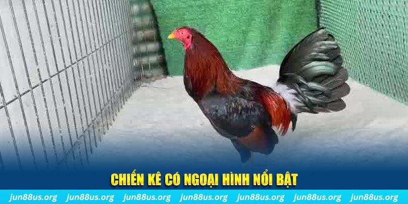 colatv game bắn cá