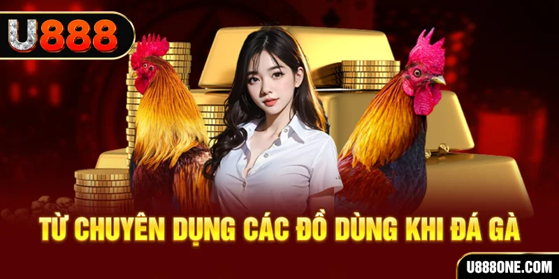 colatv so xo